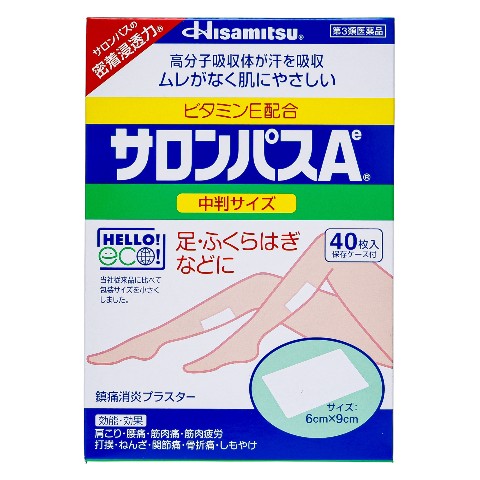 山採りヤマモミジ&コハウチワ　2 H190cm W80cm itounouki_yamabiko-sre2625ugt