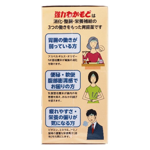 整腸 強力わかもと 1000錠 指定医薬部外品（Strong Wakamoto