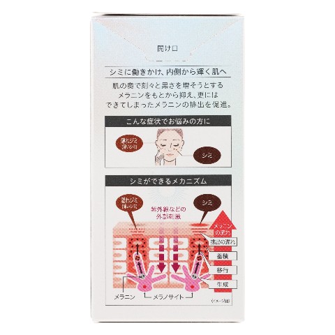 【新品未使用未開封】即購入OK！Analogue Pocket White 山崎産業株式会社｜リサイクルトラッシュECO（ボディのみ） 35